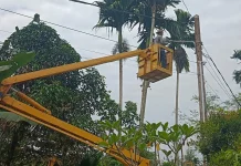 Pemkab Bintan Bangun 72 Titik PJU di Dua Kecamatan