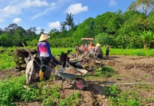 Kemenag Bintan Kembangkan Lahan Green Economy untuk Budidaya Cabai