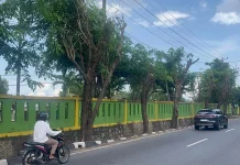 Pemko Tanjungpinang Pangkas Pohon Antisipasi Cuaca Ekstrem