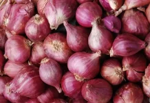 Tahukah Kamu, Bawang Merah Jadi Sayuran Terbanyak Diproduksi di 2025