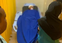 Seorang Warga Senggarang Diterkam Buaya saat Cari Gonggong Laut