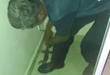 Damkar Lingga Evakuasi Biawak Masuk Rumah Warga Dabo