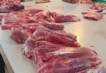Proses Penyembelihan Hewan Qurban Harus Benar agar Kualitas Dagingnya Terjaga