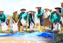 Bintan Buyu Jadi Percontohan Pertanian Berkelanjutan di Kepri
