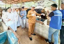 Diperiksa Ketat, Hewan Kurban di Tanjungpinang Bebas Penyakit Menular