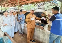 DPPP Tanjungpinang Pastikan Hewan Kurban Sehat dan Aman