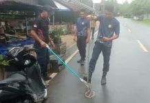Damkar Lingga Evakuasi Dua Ular Kobra dalam Sehari
