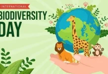 Hari Keanekaragaman Hayati: 5 Satwa Endemik Indonesia yang Mendunia