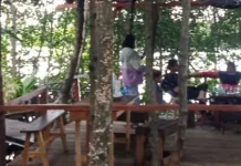 Diantara Akar Bakau dan Aroma Kopi