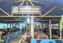 Peternakan Eza Mandiri Siap Jadi Ekowisata Edukasi