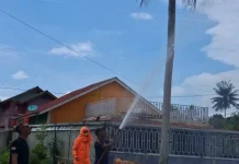 Damkar Lingga Musnahkan Sarang Tawon Vespa Dekat Rumah Warga