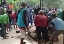 Idul Adha Momen Menebar Kebaikan Melalui Ucapan dan Pengorbanan