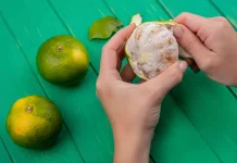 Mengapa Kulit Jeruk Berwarna Hijau di Daerah Tropis?