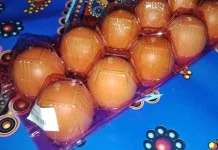Baru Beli Telur tapi Rasa dan Aromanya Tidak Biasa ? Cek Penyebabnya !