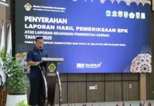 BPK Serahkan LHP Keuangan Daerah Kepada Lingga