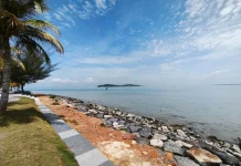 Hari Laut Sedunia: Meningkatkan Kesadaran Global untuk Menjaga Kelestarian Laut