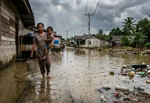 Perubahan Iklim dan Peningkatan Kasus Demam Berdarah