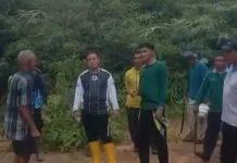 Bupati Lingga Tinjau Jalur Tiang PLN Bersama Warga