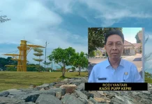 Sentuh Anggaran Rp12 Miliar, Penataan Gurindam 12 Targetkan UMKM Naik Kelas