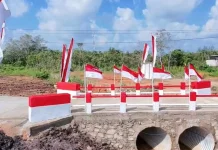 Permudah Akses Transportasi, Jembatan Garuda Toapaya Selatan Diresmikan