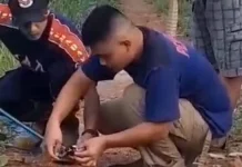 Damkar Lingga Evakuasi Kobra Tiga Meter dari Rumah Warga