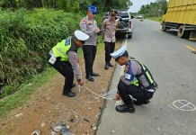Tabrakan Tiga Kendaraan di Bintan, Pengendara Jupiter Z Meninggal Dunia