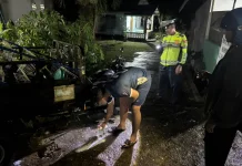 Pengendara Motor Tabrak Kaisar Parkir hingga Meninggal Dunia