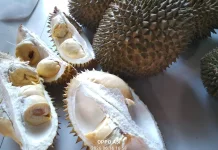 Durian, saat Gigitan Pertama Mengubah Segalanya