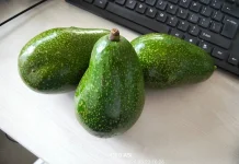 Superfood Yang Dekat Dengan Kita