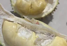 Durian Melimpah, Musim Panen Raya Dongkrak Ekonomi Warga