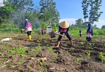 Ekoteologi Kemenag Bintan Diperkuat lewat Program Green Econom