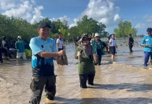 Kolaborasi UMRAH Tanam 20 Ribu Bibit Mangrove, Upaya Selamatkan Ekosistem Pesisir