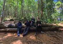 Mendaki Gunung Bintan, Salah Satu Aktivitas Menarik Mengisi Waktu Libur