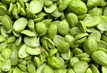 Petai: Si Imut yang Bau namun Kaya Nutrisi