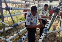 Lapas Narkotika Tanjungpinang Kembangkan Perikanan dan Hidroponik