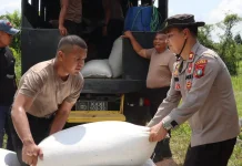Polres Lingga Distribusikan 2,75 Ton Jagung ke Bulog