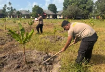 Polisi Rawat Kebun Pisang Dukung Ketahanan Pangan Nasional