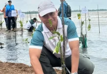 Dukung Kelestarian Mangrove BPDAS Seijang Duriangkang Siapkan 60 Ribu Bibit