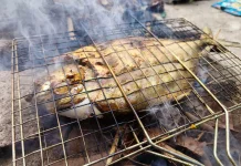 Ikan Bakar, Menu Sederhana yang Lezat dan Kaya Nutrisi