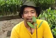 Limbah Minyak Hitam Menjadi Tantangan Pelestarian Mangrove di Bintan