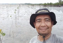 Pemilihan Waktu Tanam Sangat Penting Memastikan Mangrove Dapat Tumbuh