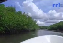 Peningkatan Kesadaran Masyarakat Menjadikan Kelestaraian Mangrove Tetap Terja