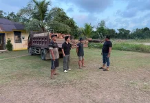 Tim Gabungan Bongkar Dugaan Pengiriman Kayu Ilegal