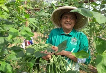 Program Green Economy Kemenag Bintan Mulai Panen Hasil