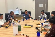 Pemkab Lingga dan PLN Perkuat Pengelolaan Listrik