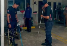 Damkar Lingga Evakuasi Ular dari Rumah Warga