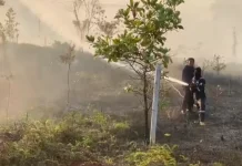 Sepanjang Januari hingga Agustus 2026, Terjadi 150 Karhutla di Tanjungpinang