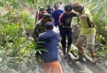 Lansia 66 Tahun Ditemukan Meninggal di dalam Hutan