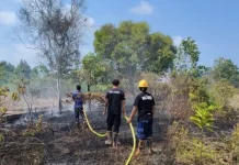 Lahan Terbakar di Merawang, Damkar Lingga Bergerak Cepat
