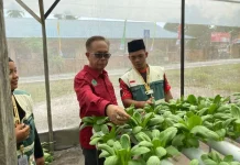 KKN STAIN SAR Kepri di Desa Sedamai Dapat Apresiasi Masyarakat